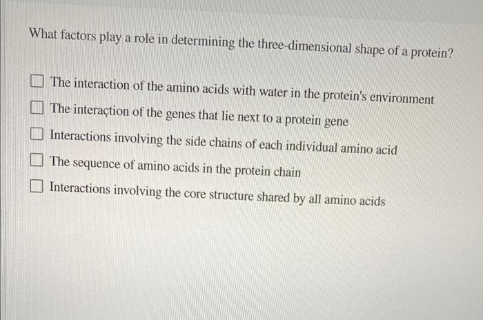 What Factors Play A Role In Determining The Three Dimensional Shape Of A Protein The Interaction Of The Amino Acids Wit 1