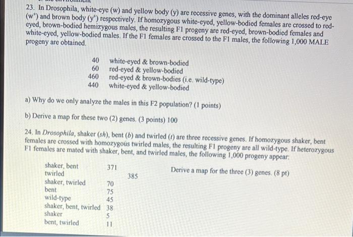 23 In Drosophila White Eye W And Yellow Body Y Are Recessive Genes With The Dominant Alleles Red Eye W And Brow 3