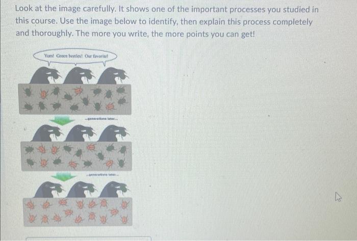 Look At The Image Carefully It Shows One Of The Important Processes You Studied In This Course Use The Image Below To 1