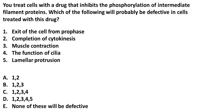 You Treat Cells With A Drug That Inhibits The Phosphorylation Of Intermediate Filament Proteins Which Of The Following 1