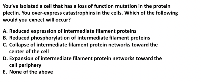 You Ve Isolated A Cell That Has A Loss Of Function Mutation In The Protein Plectin You Over Express Catastrophins In Th 1