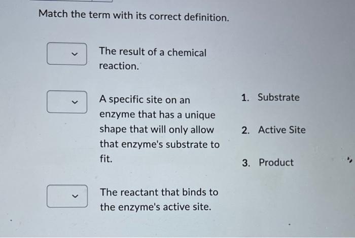Match The Term With Its Correct Definition The Result Of A Chemical Reaction A Specific Site On An Enzyme That Has A U 1