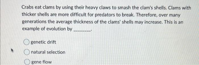 Crabs Eat Clams By Using Their Heavy Claws To Smash The Clam S Shells Clams With Thicker Shells Are More Difficult For 1