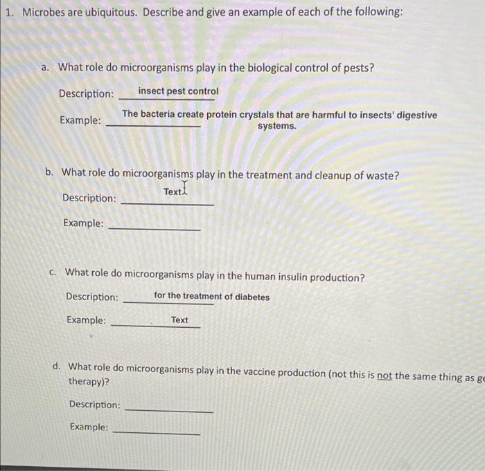 5 You Learned About The Biological Macromolecules In Biol 160 What Are The Four General Classes Of Biological Macromol 2