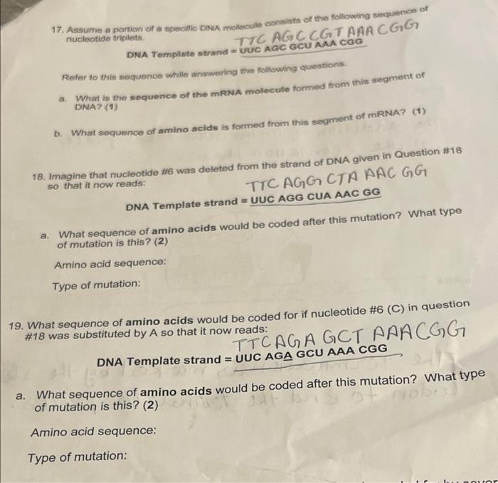 Nucleotide Triplets 17 Assume A Portion Of A Specific Dna Molecule Consists Of The Following Sequence Of Ttc Agc Cgt A 1