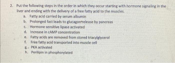 2 Put The Following Steps In The Order In Which They Occur Starting With Hormone Signaling In The Liver And Ending With 1