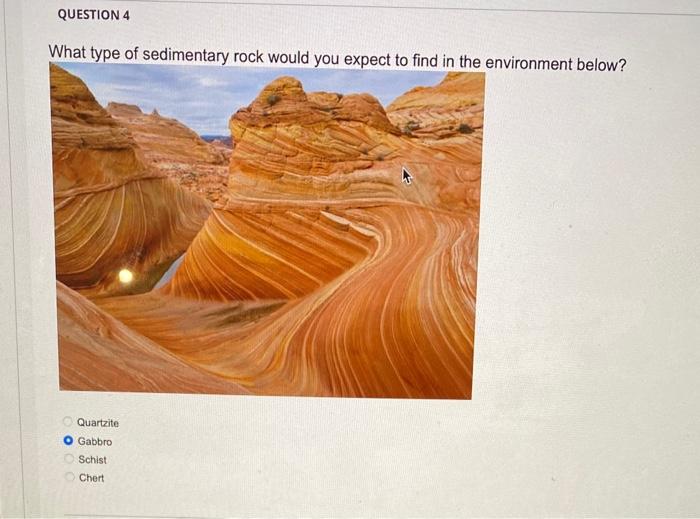 Question 4 What Type Of Sedimentary Rock Would You Expect To Find In The Environment Below Quartzite Gabbro Schist Cher 1
