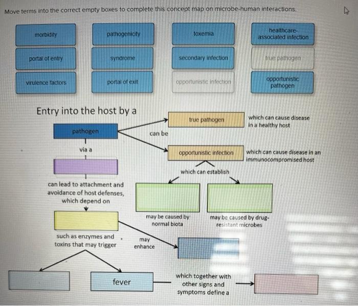 Move Terms Into The Correct Empty Boxes To Complete This Concept Map On Microbe Human Interactions Healthcare Associat 1