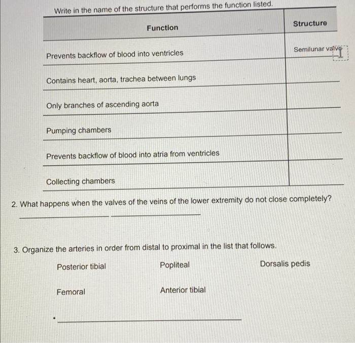 Write In The Name Of The Structure That Performs The Function Listed Prevents Backflow Of Blood Into Ventricles Functio 1