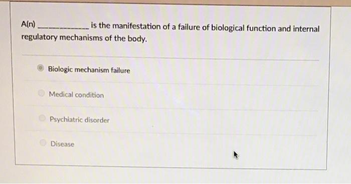 What Is The Correct Answer 1