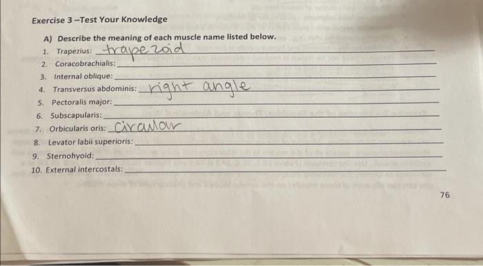 Exercise 3 Test Your Knowledge A Describe The Meaning Of Each Muscle Name Listed Below 1 Trapezius Trapezoid 2 Co 1