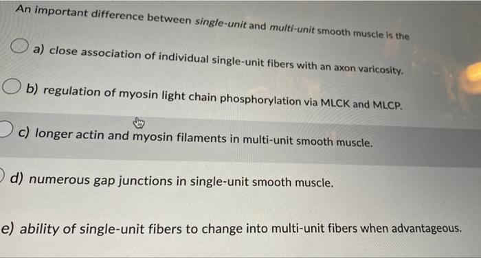 An Important Difference Between Single Unit And Multi Unit Smooth Muscle Is The A Close Association Of Individual Singl 1