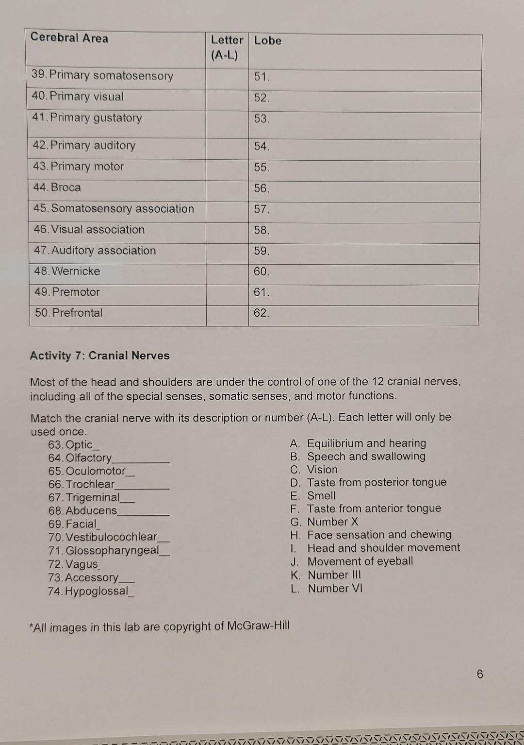Activity 3 Brainstem And Diencephalon Subdivisions The Brainstem And Diencephalon Each Contain 3 Subdivisions Give The 4