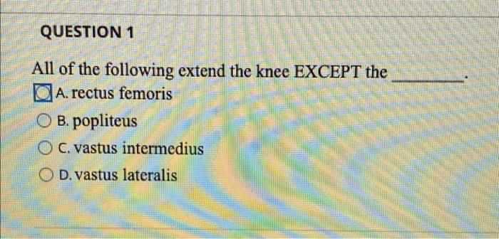 Question 1 All Of The Following Extend The Knee Except The A Rectus Femoris Ob Popliteus Oc Vastus Intermedius Od Va 1