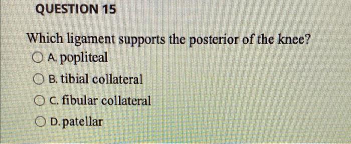 Question 15 Which Ligament Supports The Posterior Of The Knee Oa Popliteal Ob Tibial Collateral Oc Fibular Collatera 1