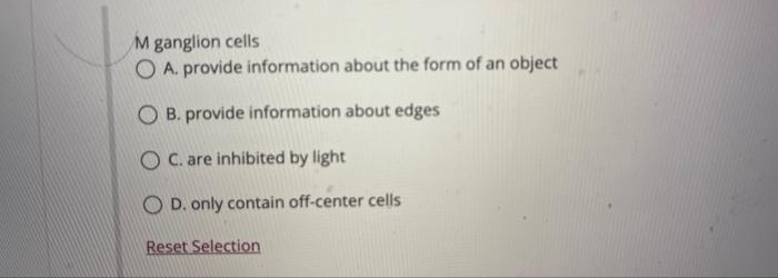 M Ganglion Cells O A Provide Information About The Form Of An Object Ob Provide Information About Edges Oc Are Inhibi 1