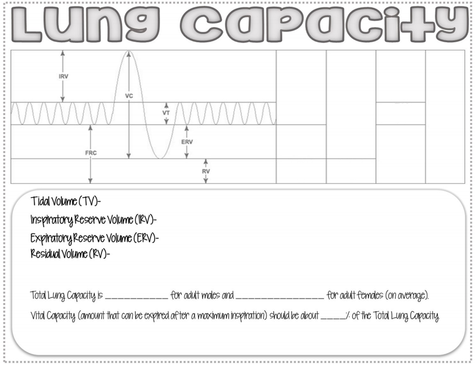 Lung Capacity Irv Wwwww Frc Vc Tidal Volume Tv Inspiratory Reserve Volume Irv Expiratory Reserve Volume Erv Res 1