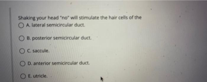 Shaking Your Head No Will Stimulate The Hair Cells Of The Oa Lateral Semicircular Duct Ob Posterior Semicircular Du 1