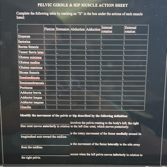Asl Pelvic Girdle Hip Muscle Action Sheet Complete The Following Table By Marking An X In The Box Under The Actions 1