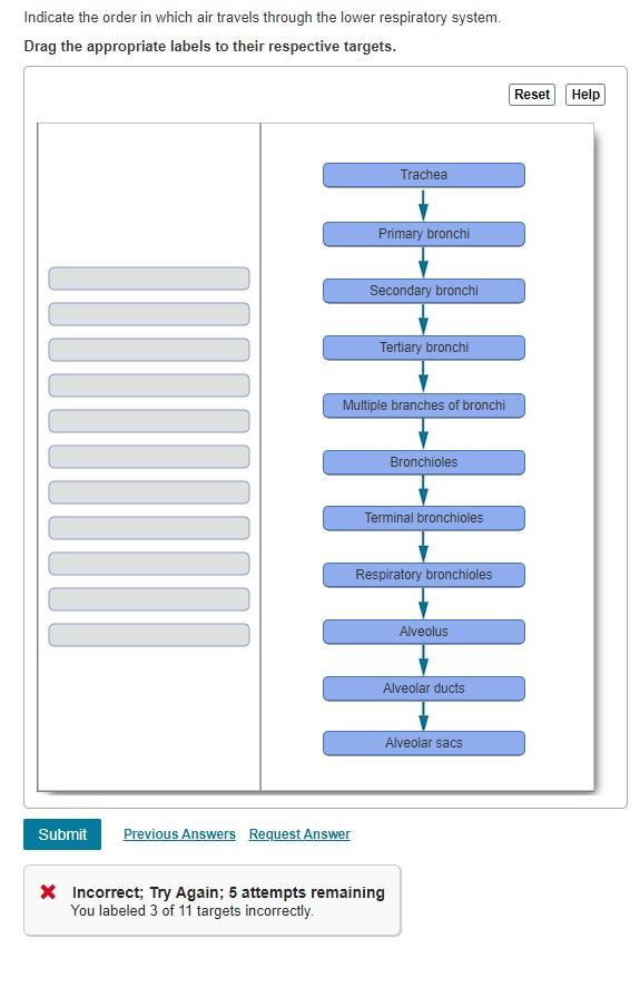 I M Not Sure What To Change In The Picture Linked 1