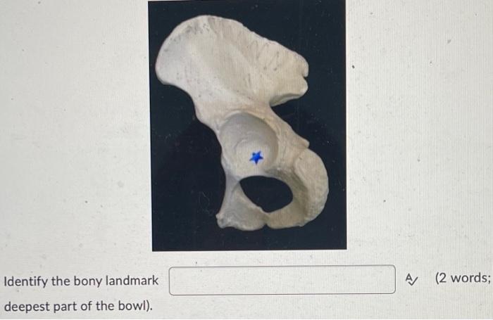 Identify The Bony Landmark Deepest Part Of The Bowl A 2 Words Identify The Name Of This Group Of Muscles A Do Not 1