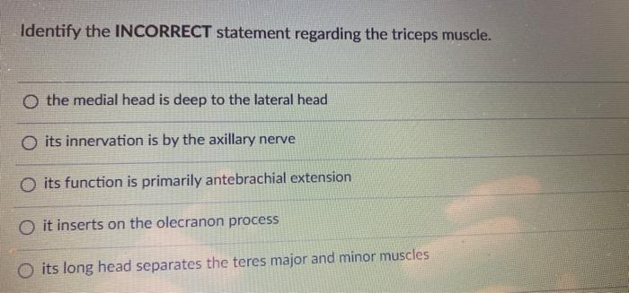 Identify The Incorrect Statement Regarding The Triceps Muscle O The Medial Head Is Deep To The Lateral Head O Its Inner 1