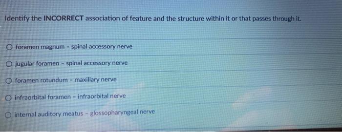 Identify The Incorrect Association Of Feature And The Structure Within It Or That Passes Through It O Foramen Magnum Sp 1