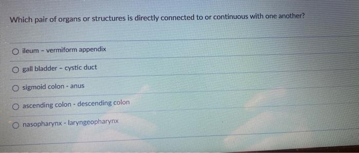 Which Pair Of Organs Or Structures Is Directly Connected To Or Continuous With One Another Oileum Vermiform Appendix O 1