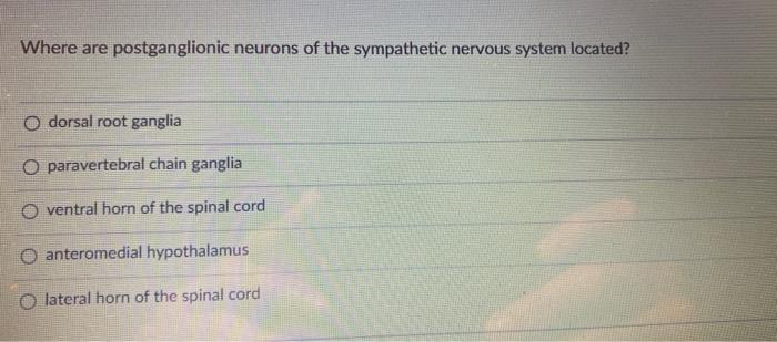 Where Are Postganglionic Neurons Of The Sympathetic Nervous System Located Odorsal Root Ganglia O Paravertebral Chain G 1