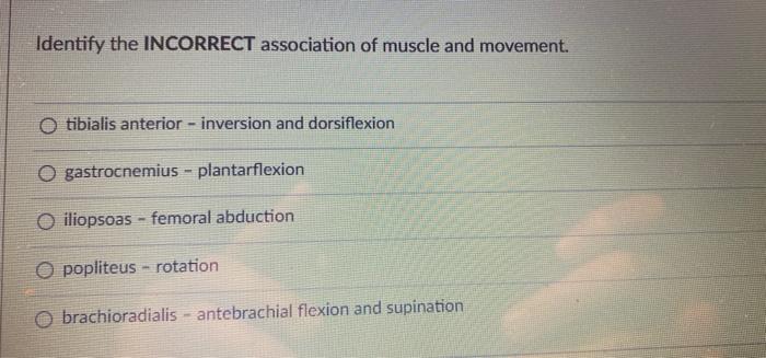 Identify The Incorrect Association Of Muscle And Movement O Tibialis Anterior Inversion And Dorsiflexion O Gastrocnem 1
