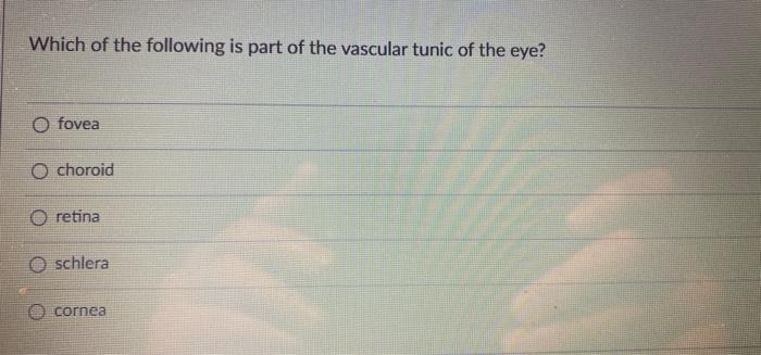 Which Of The Following Is Part Of The Vascular Tunic Of The Eye O Fovea O Choroid O Retina Oschlera Cornea 1