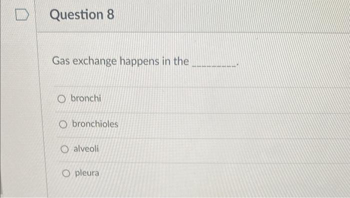 Question 8 Gas Exchange Happens In The Obronchi O Bronchioles O Alveoli O Pleura Question 9 O Chyme O Bile Is Stored In 1