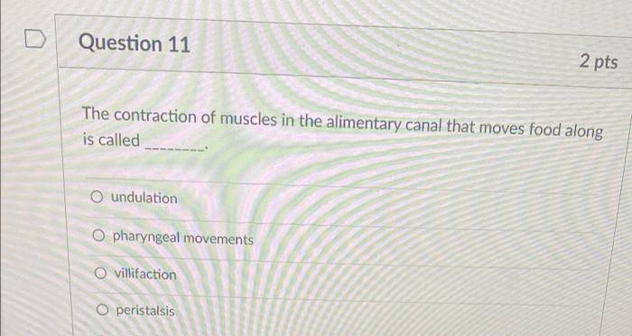 Question 11 The Contraction Of Muscles In The Alimentary Canal That Moves Food Along Is Called O Undulation O Pharyngeal 1