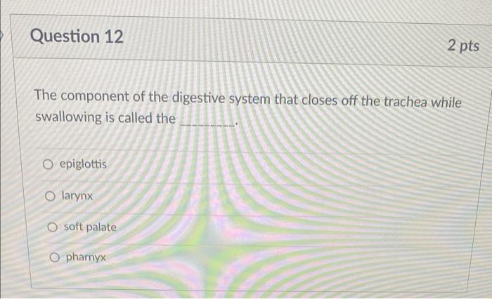 Question 12 The Component Of The Digestive System That Closes Off The Trachea While Swallowing Is Called The O Epiglotti 1