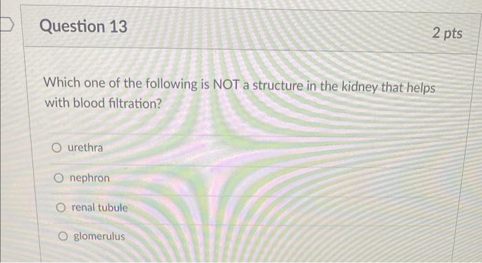 Question 12 The Component Of The Digestive System That Closes Off The Trachea While Swallowing Is Called The O Epiglotti 2