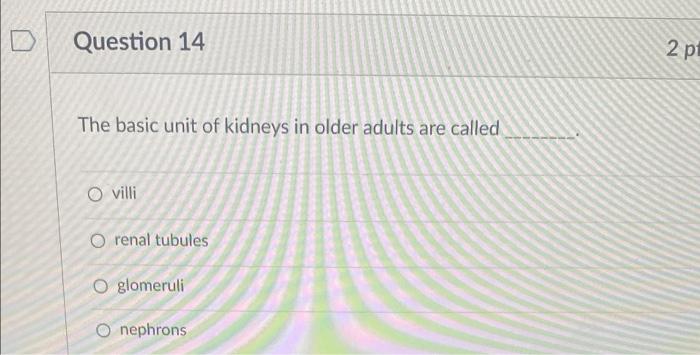 Question 14 The Basic Unit Of Kidneys In Older Adults Are Called O Villi O Renal Tubules O Glomeruli O Nephrons 2 Pt D 1