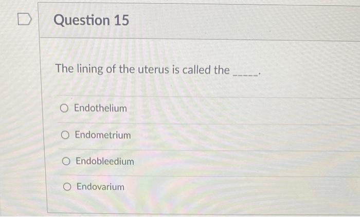 Question 14 The Basic Unit Of Kidneys In Older Adults Are Called O Villi O Renal Tubules O Glomeruli O Nephrons 2 Pt D 2