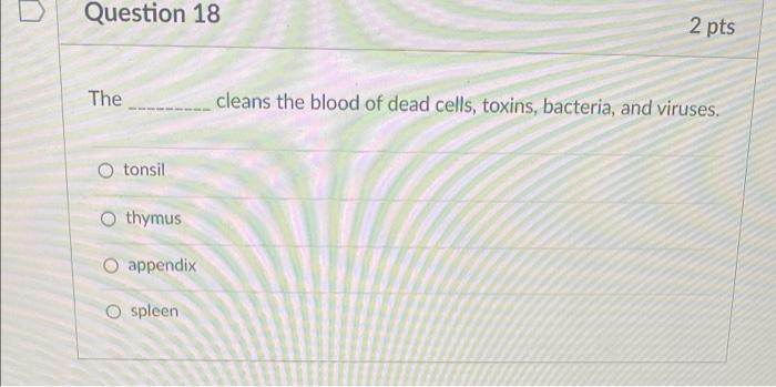 Question 18 The O Tonsil Othymus Appendix O Spleen 2 Pts Cleans The Blood Of Dead Cells Toxins Bacteria And Viruses 1