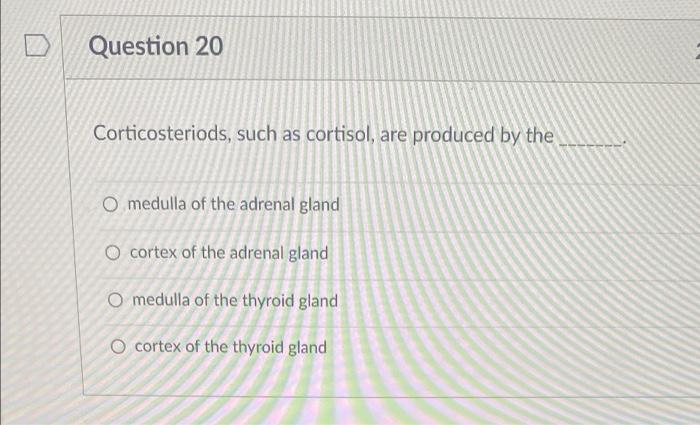 Question 20 Corticosteriods Such As Cortisol Are Produced By The O Medulla Of The Adrenal Gland O Cortex Of The Adrena 1