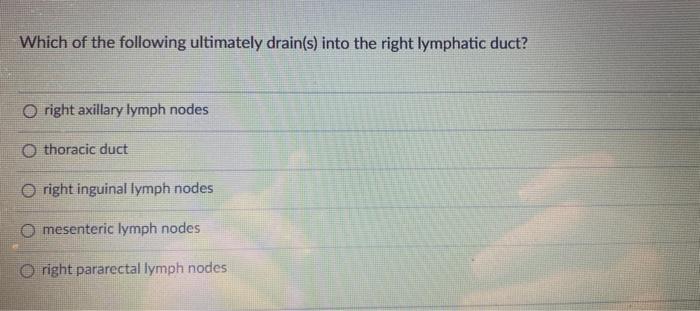Which Of The Following Ultimately Drain S Into The Right Lymphatic Duct Oright Axillary Lymph Nodes O Thoracic Duct Or 1
