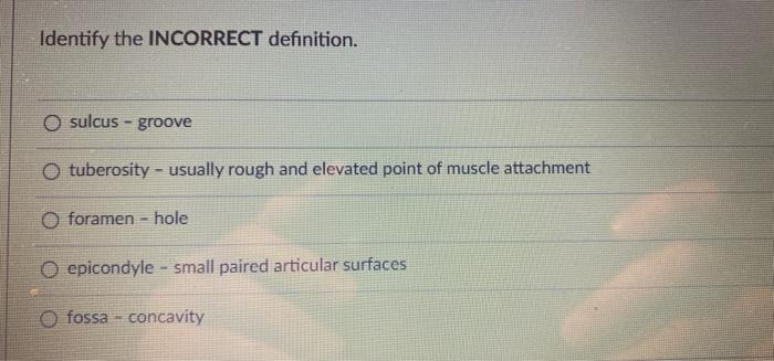 Identify The Incorrect Definition O Sulcus Groove O Tuberosity Usually Rough And Elevated Point Of Muscle Attachmen 1