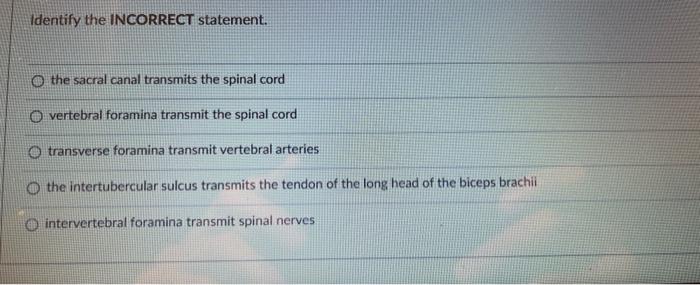 Identify The Incorrect Statement The Sacral Canal Transmits The Spinal Cord O Vertebral Foramina Transmit The Spinal Co 1