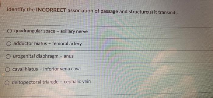 Identify The Incorrect Association Of Passage And Structure S It Transmits O Quadrangular Space Axillary Nerve O Add 1