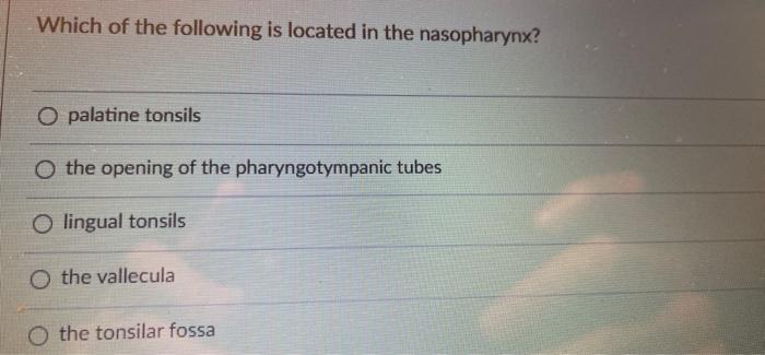 Which Of The Following Is Located In The Nasopharynx O Palatine Tonsils O The Opening Of The Pharyngotympanic Tubes O L 1