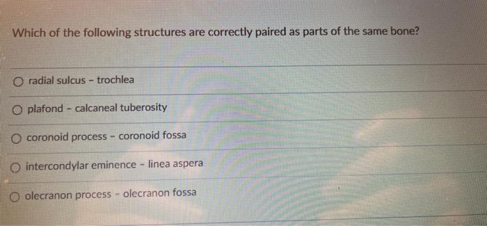 Which Of The Following Structures Are Correctly Paired As Parts Of The Same Bone O Radial Sulcus Trochlea O Plafond 1