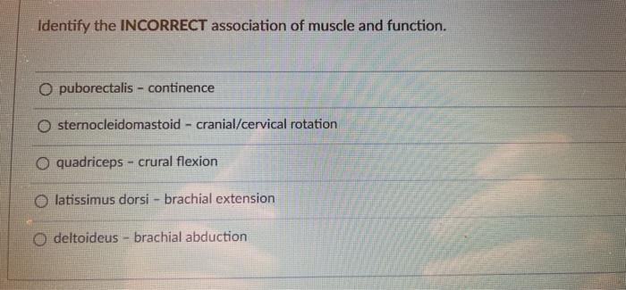 Identify The Incorrect Association Of Muscle And Function Opuborectalis Continence Osternocleidomastoid Cranial Cervi 1