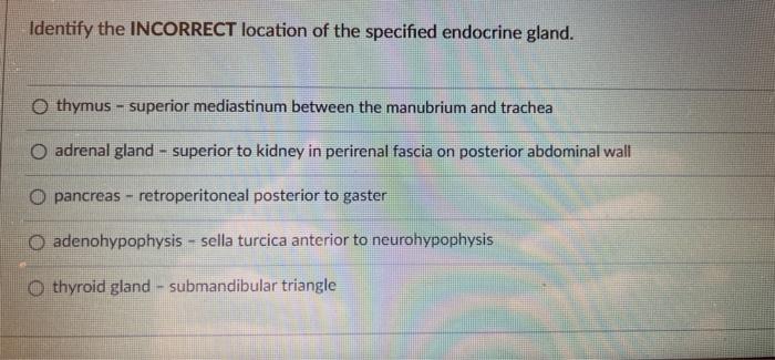 Identify The Incorrect Location Of The Specified Endocrine Gland O Thymus Superior Mediastinum Between The Manubrium 1