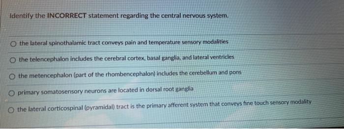 Identify The Incorrect Statement Regarding The Central Nervous System O The Lateral Spinothalamic Tract Conveys Pain An 1