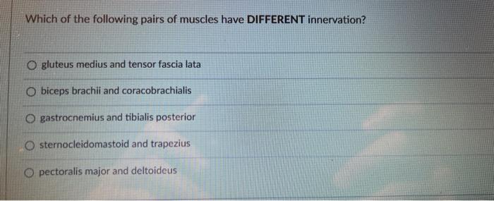 Which Of The Following Pairs Of Muscles Have Different Innervation Ogluteus Medius And Tensor Fascia Lata Obiceps Brach 1