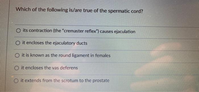 Which Of The Following Is Are True Of The Spermatic Cord O Its Contraction The Cremaster Reflex Causes Ejaculation 1